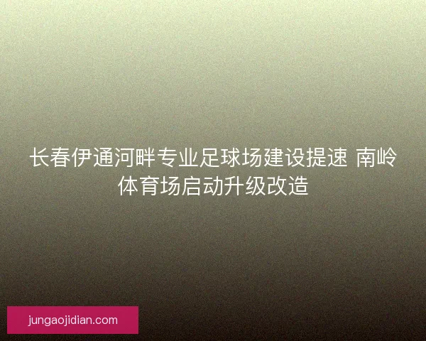 长春伊通河畔专业足球场建设提速 南岭体育场启动升级改造